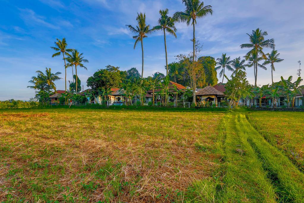 Villa Kaba Kaba Resort Canggu Esterno foto