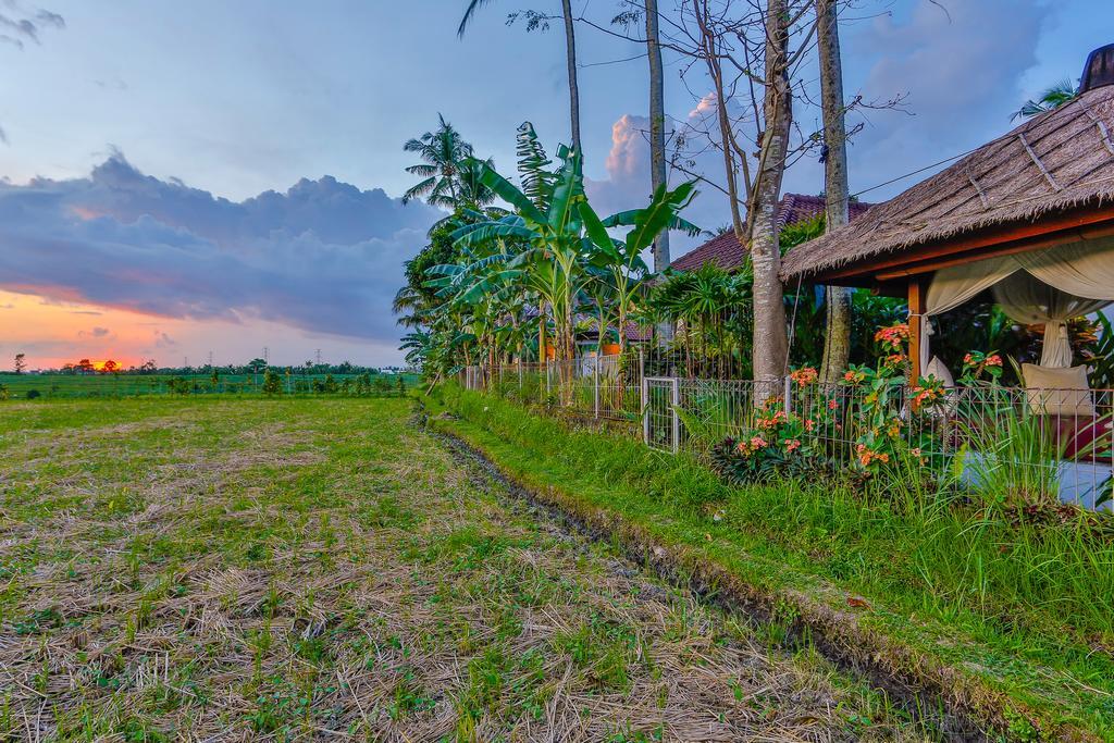 Villa Kaba Kaba Resort Canggu Esterno foto