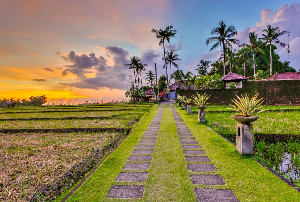 Villa Kaba Kaba Resort Canggu Esterno foto