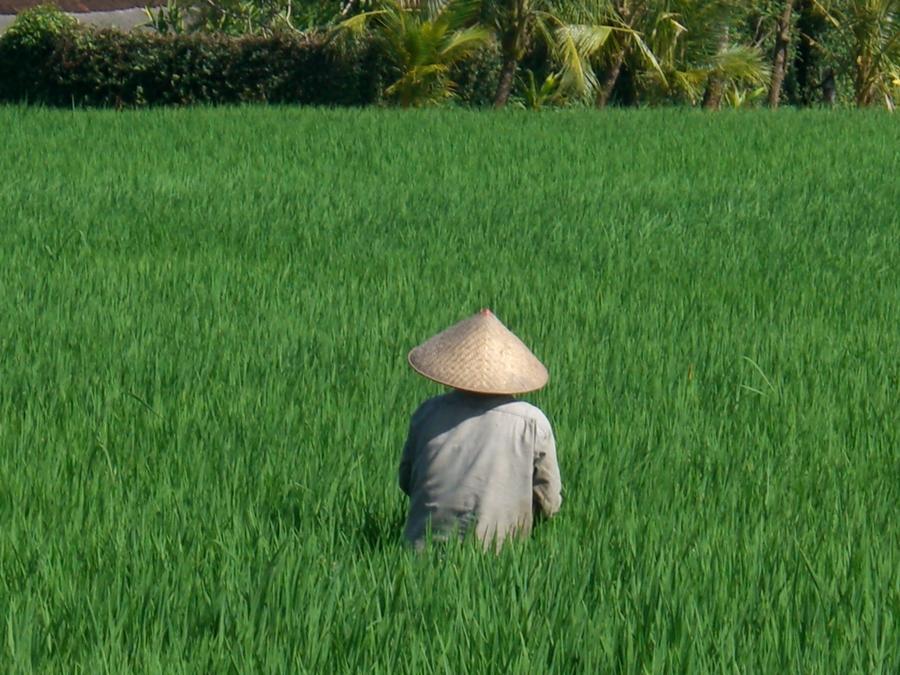 Villa Kaba Kaba Resort Canggu Esterno foto