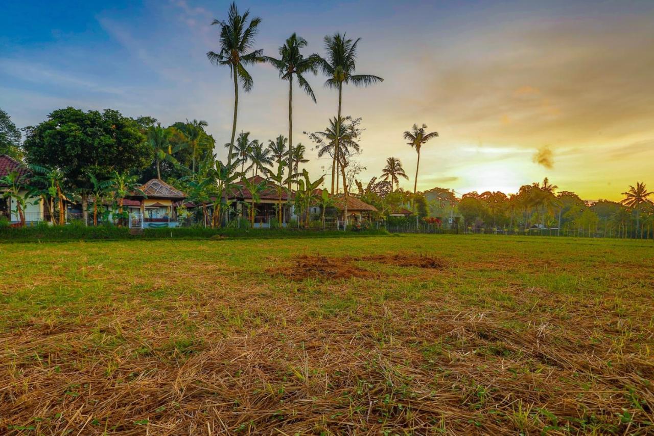 Villa Kaba Kaba Resort Canggu Esterno foto
